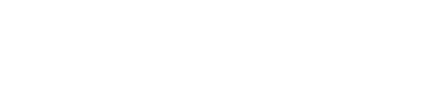 Reis & Irvy's Logo